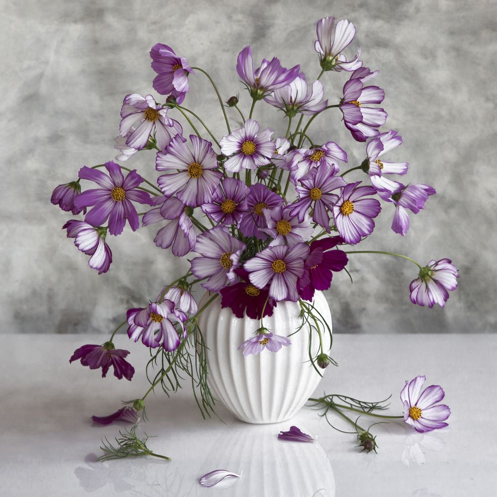 Photograph by Татьяна Назмутдинова