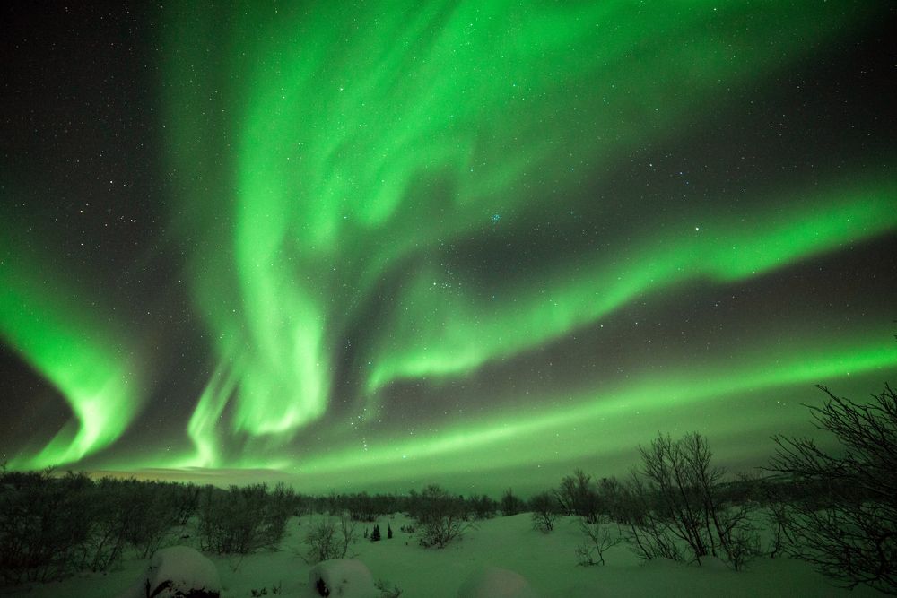 Photograph by Оксана Кузнецова