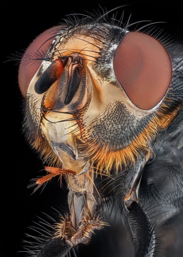 Photograph by Rastislav Borovsky