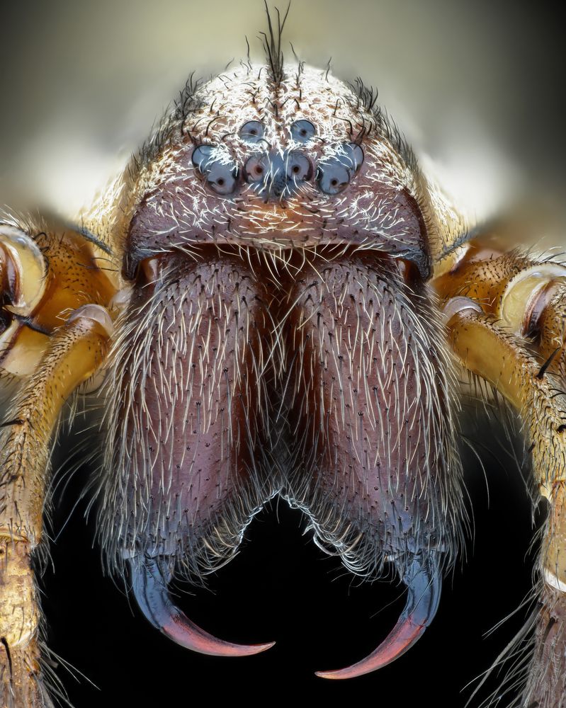 Photograph by Rastislav Borovsky