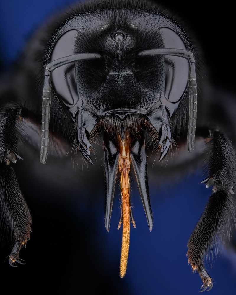 Photograph by Rastislav Borovsky