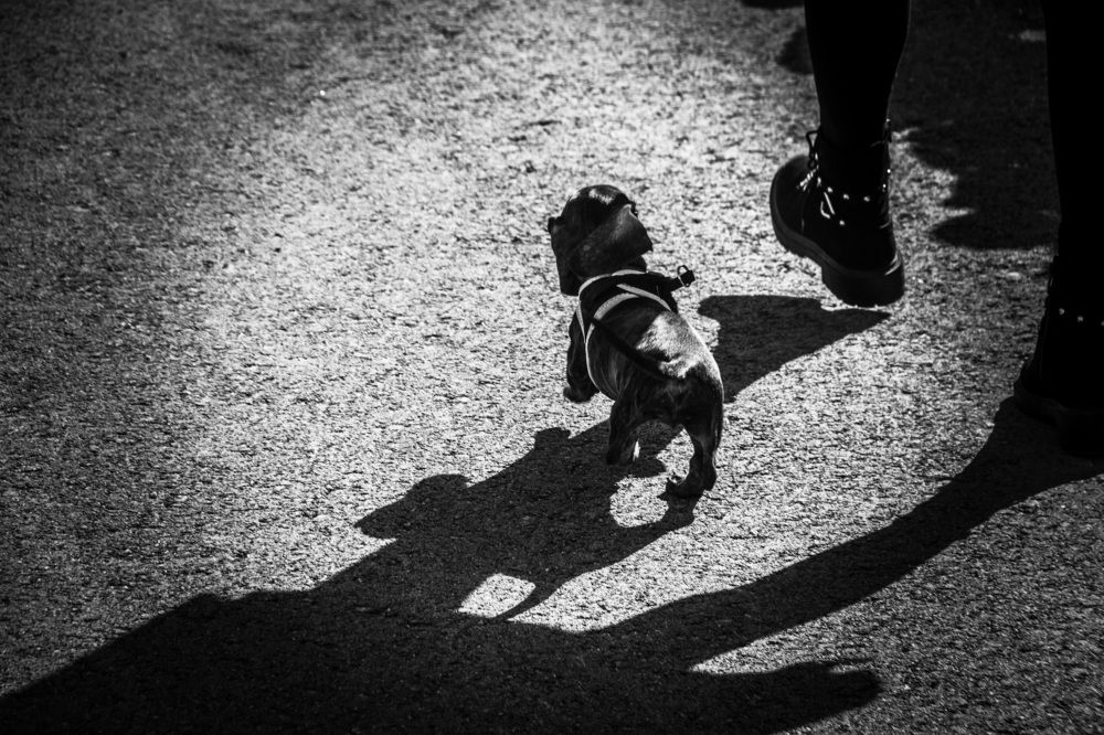 Photograph by Ernest Spiteri Gonzi