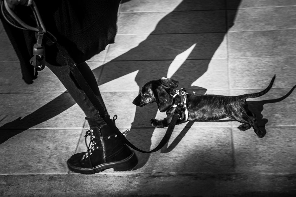 Photograph by Ernest Spiteri Gonzi