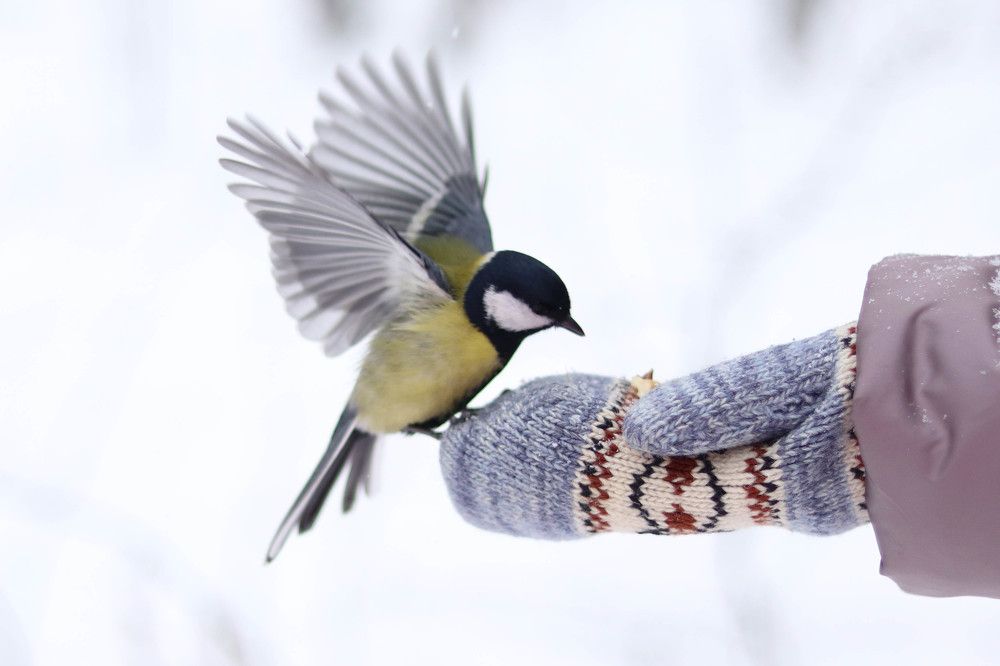 Photograph by Мария Глухова