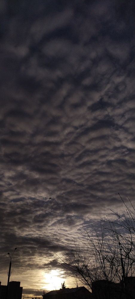Фотография автора Людмила Волкова