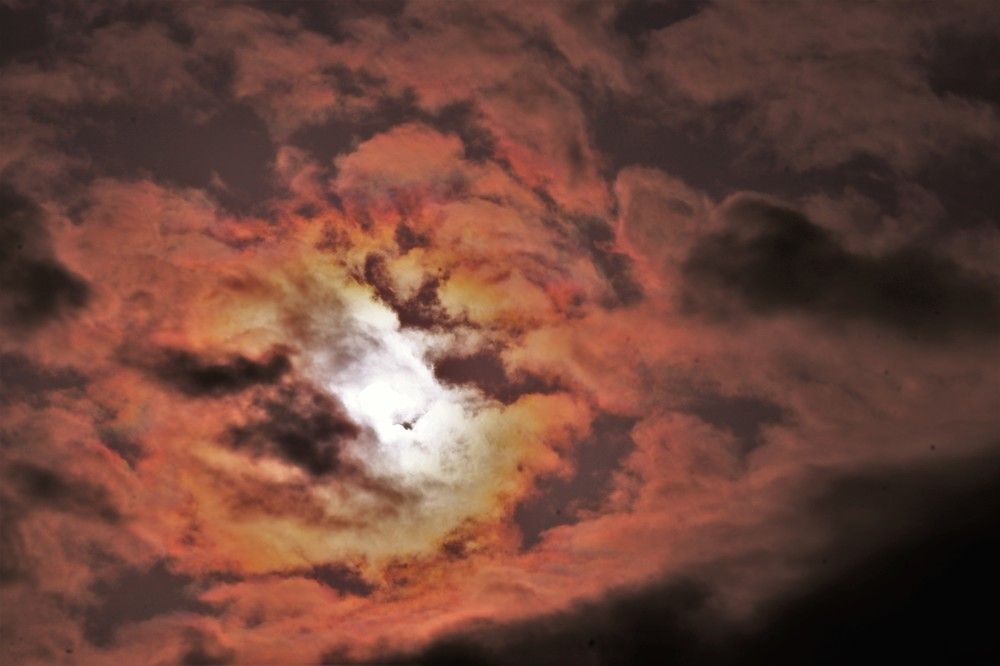 Photograph by Илья Погорелов