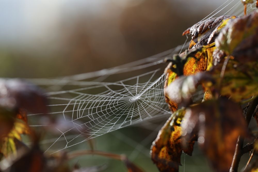 Photograph by Борис Баринов