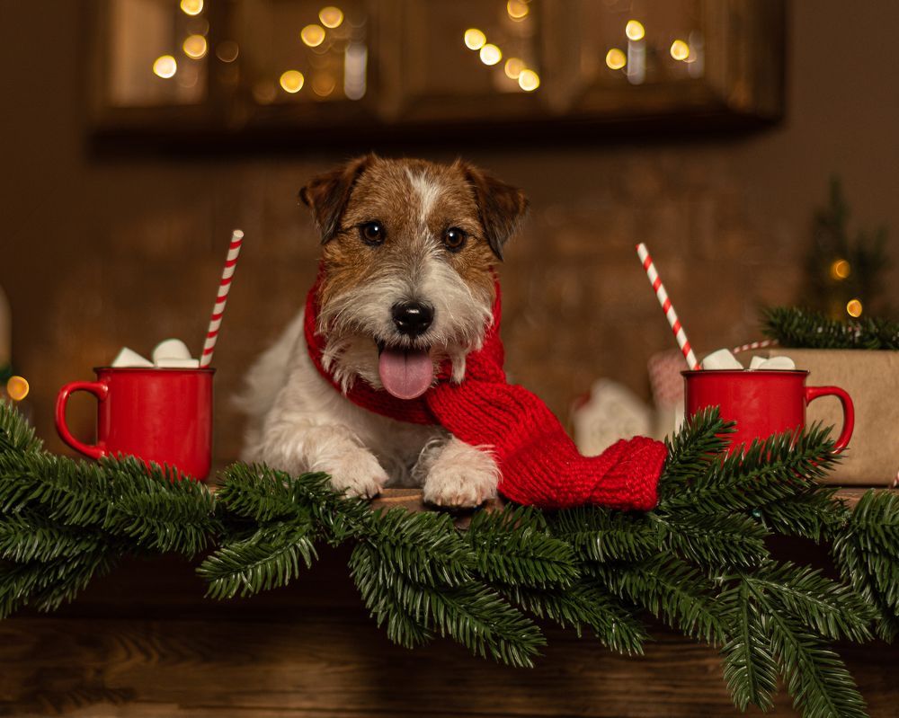 Photograph by Виктория Сафонова