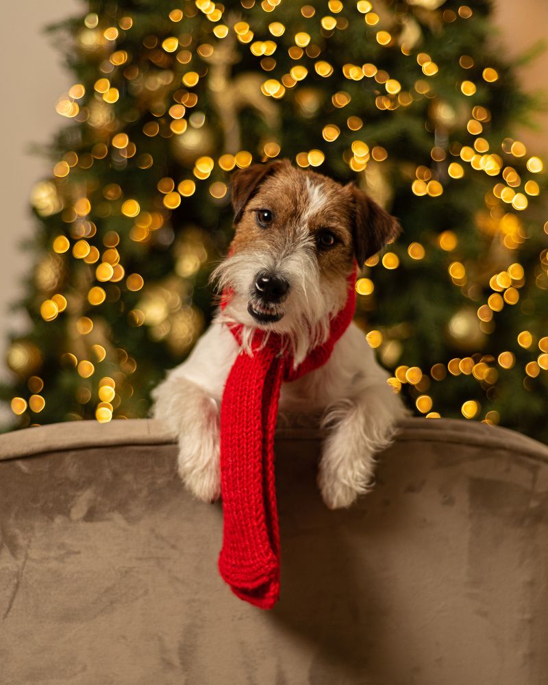 Photograph by Виктория Сафонова