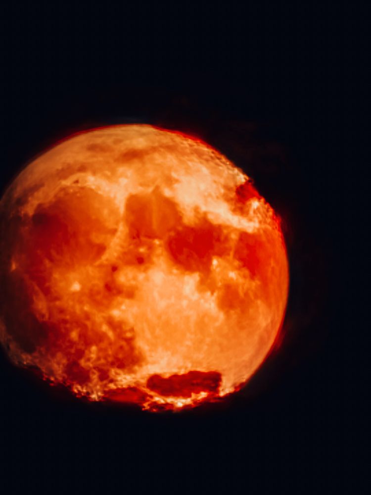 Photograph by Инна Федорова