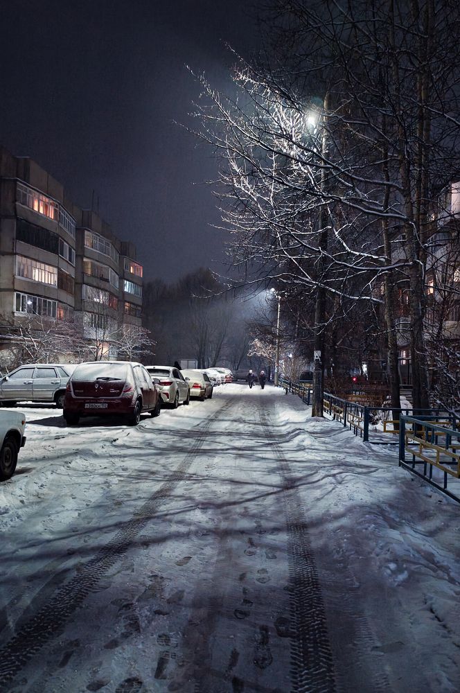 Photo #8458893