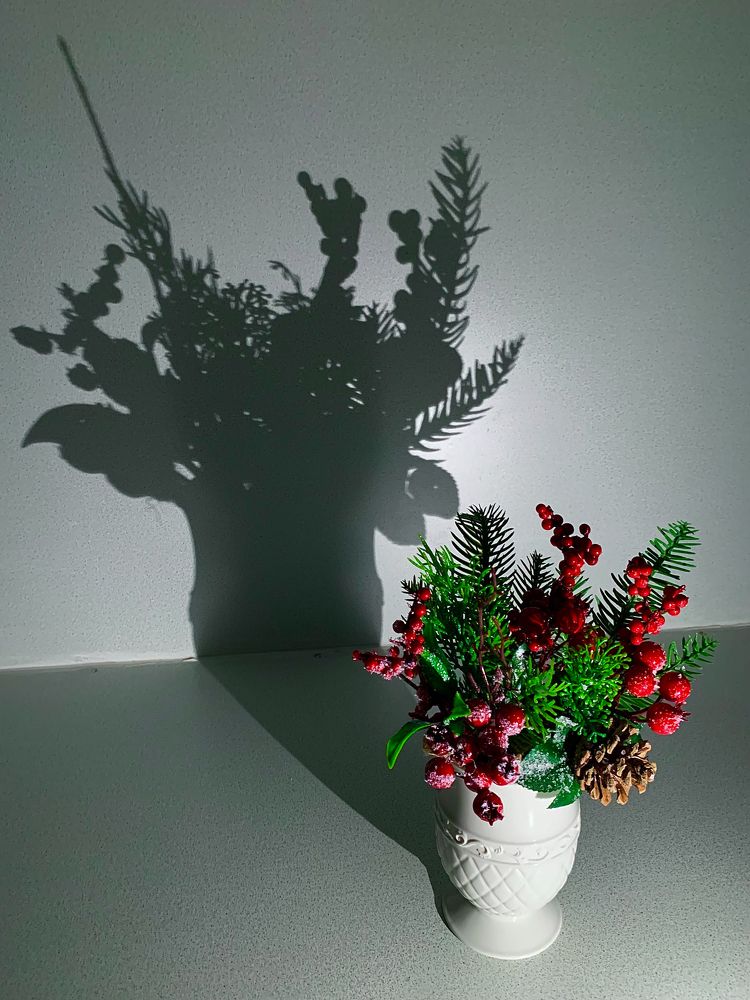 Photograph by Елена Макуха