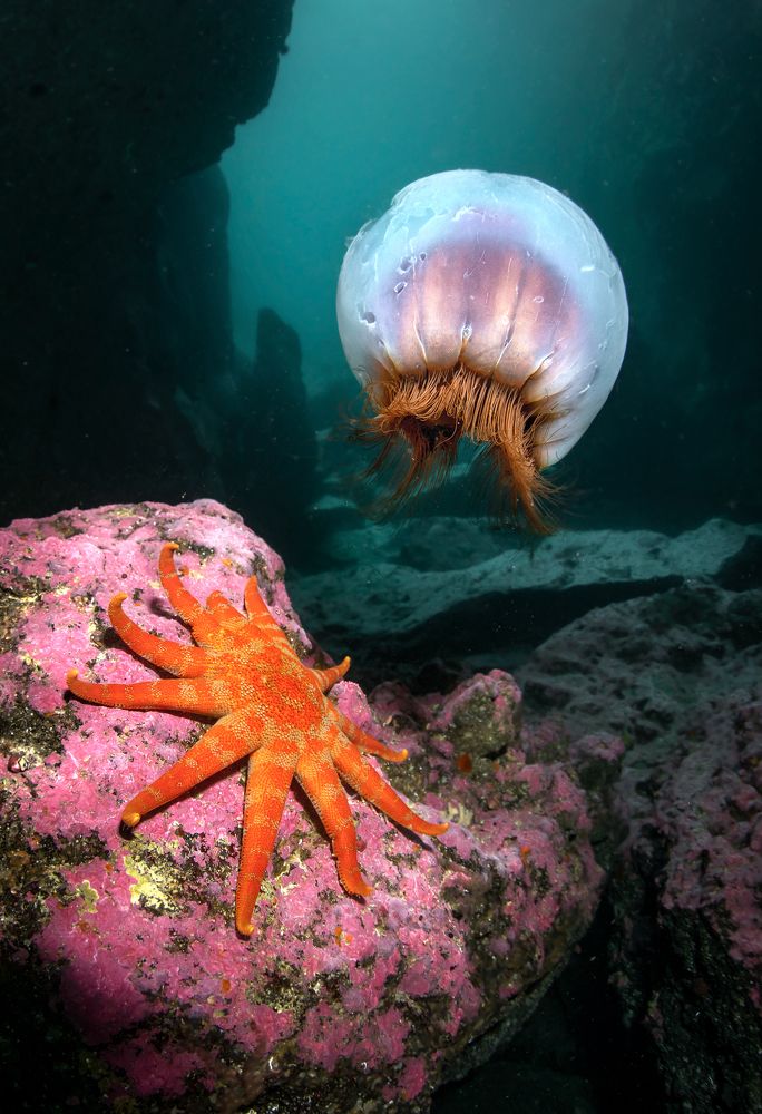 ДРУГИЕ МИРЫ