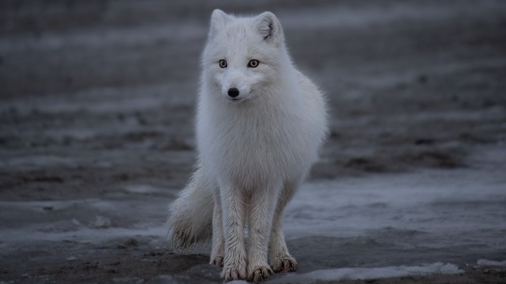 Photograph by Антон Дроздов