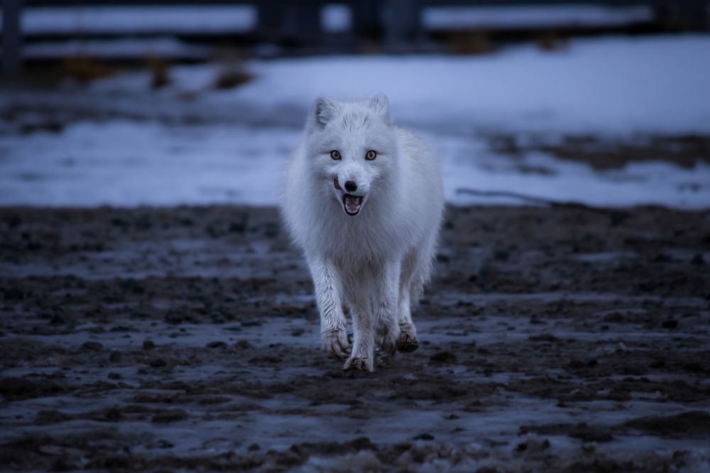 Photograph by Антон Дроздов