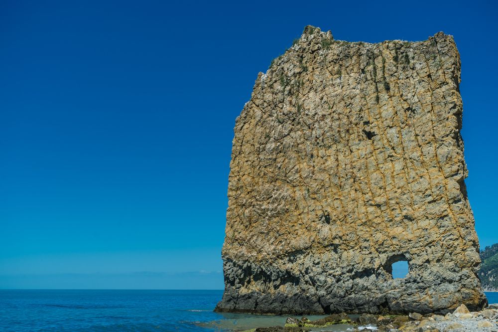 Photograph by Мария Паина