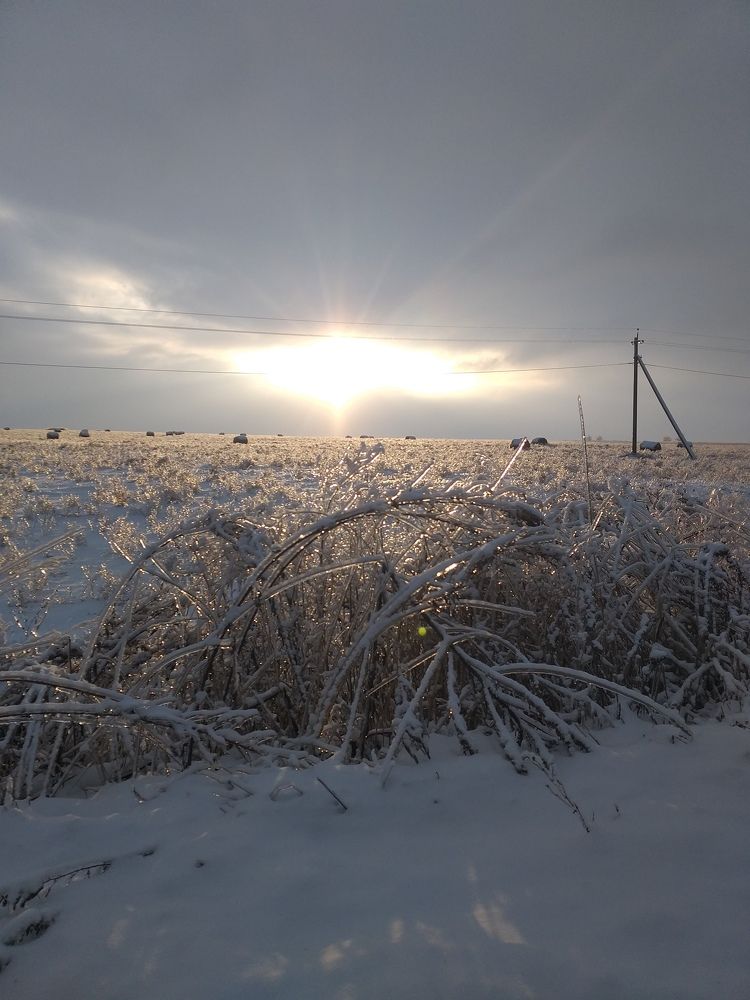 Photograph by Сергей Мариничев