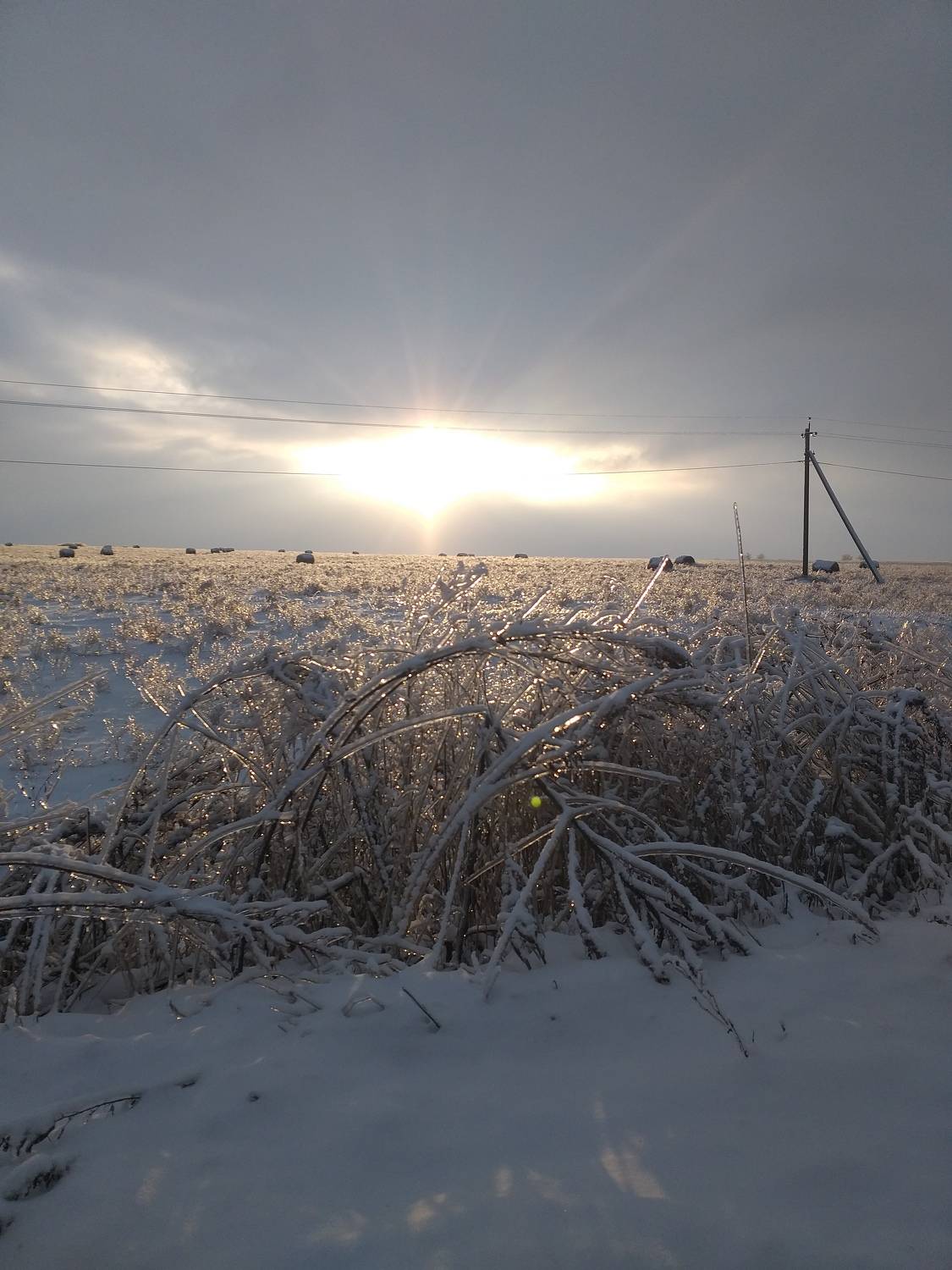 Photo #8459040