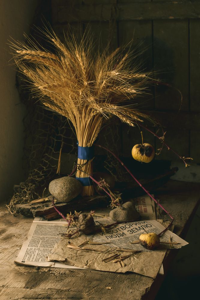 Photograph by Анна Федотова