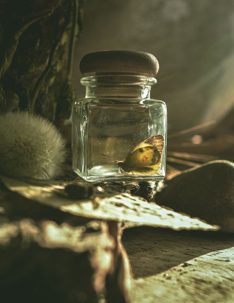 Photograph by Анна Федотова