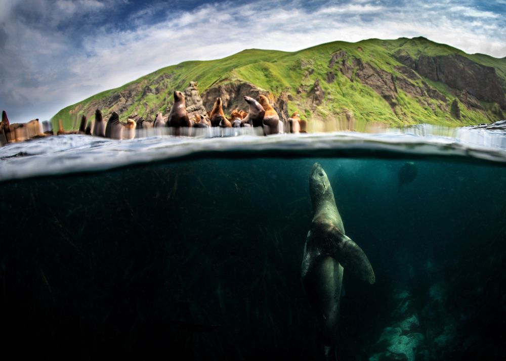 ИСПОЛИНЫ ГЛУБИН