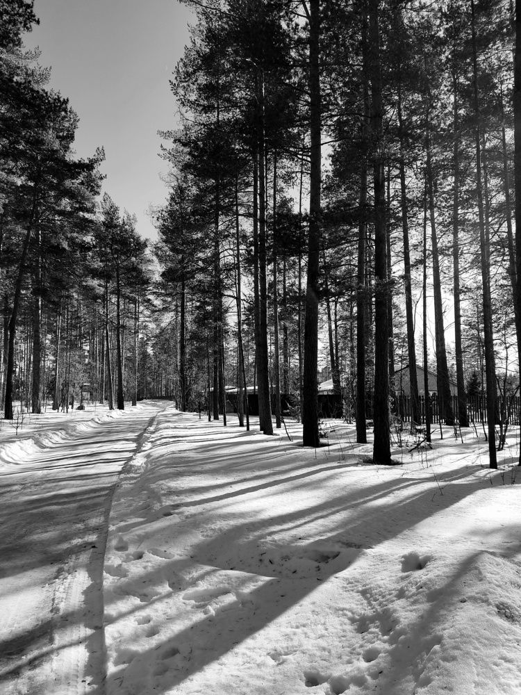 Photograph by Мария Федорова