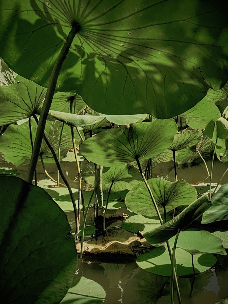 Photograph by Татьяна Семёнова