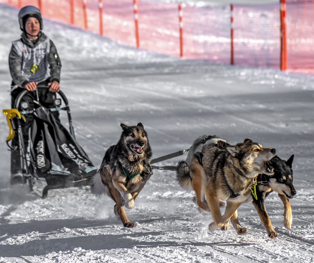 Photograph by Дмитрий Ворошилов