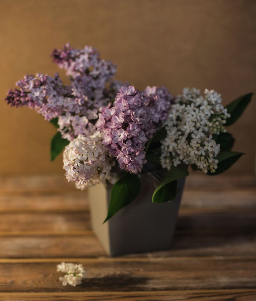 Photograph by Евгения Калашникова