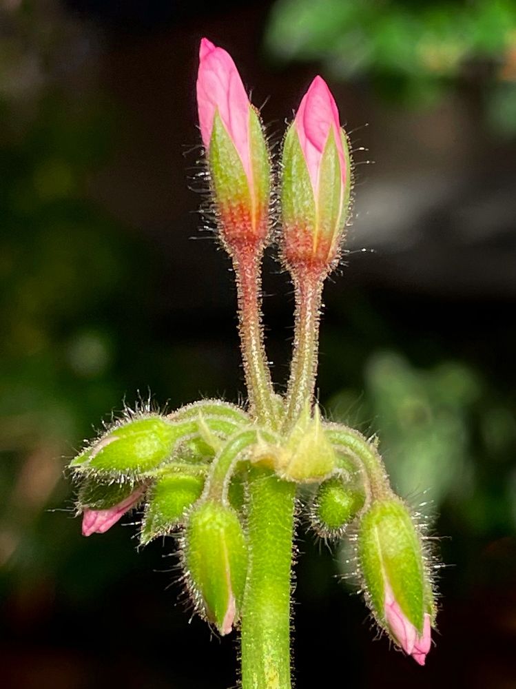 Photograph by Татьяна