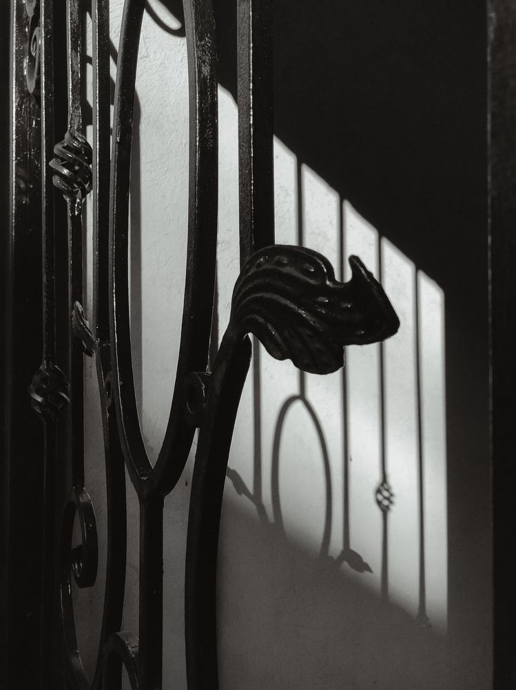 Photograph by Elena Mishchenko