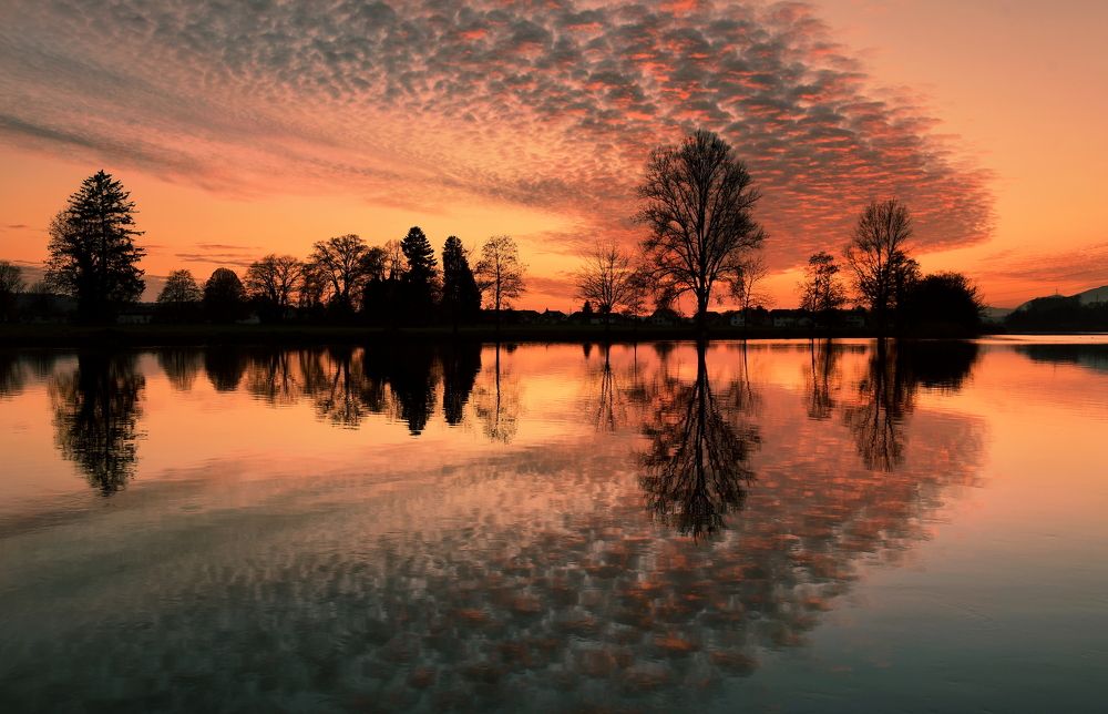 Photograph by Elena Wymann