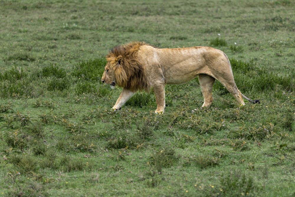 Photograph by Sergey Puponin