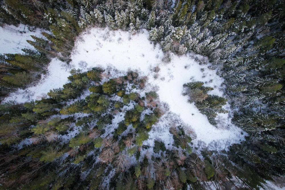 Photograph by Andrey Purtov