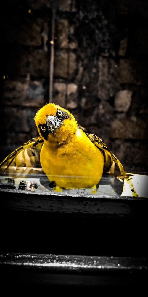 Фотография автора Maston