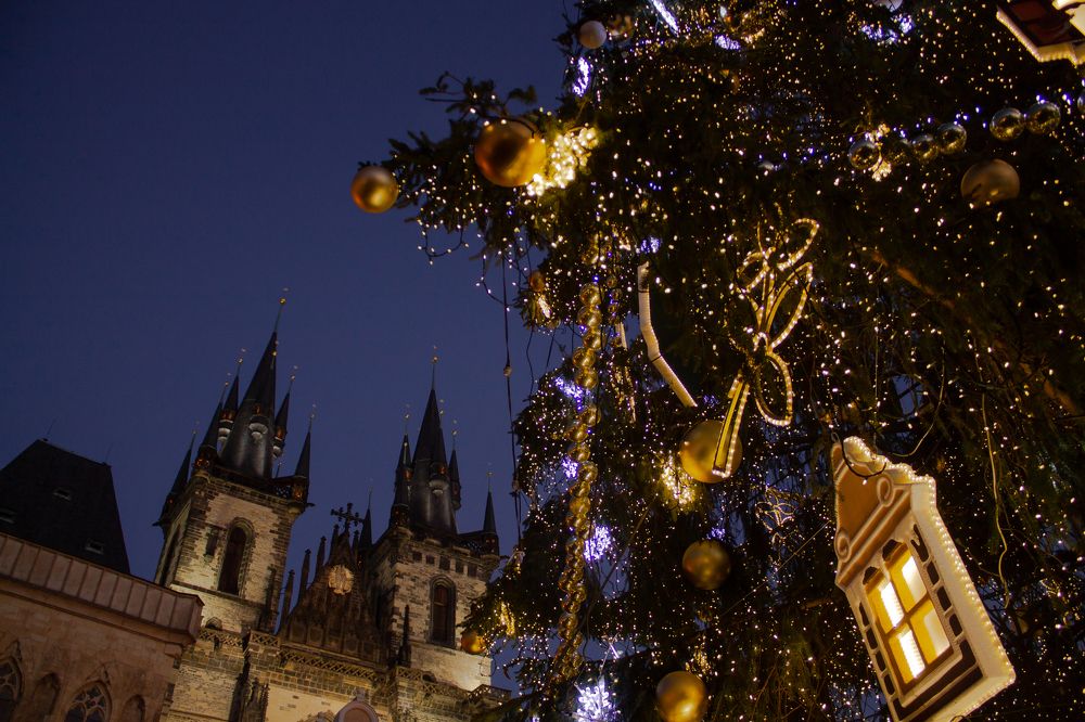 Фотография автора Alexander Pakhomov