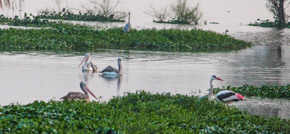 Photograph by Praveen kumar Sampath