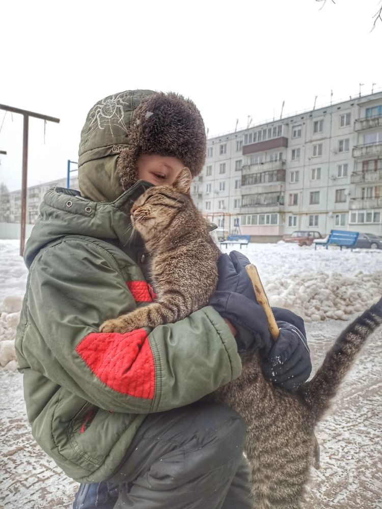 Искренние чувства