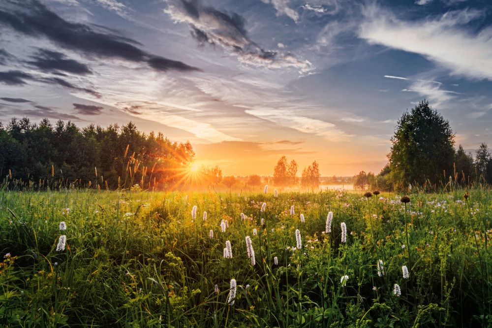 Photograph by Victor Stepanov