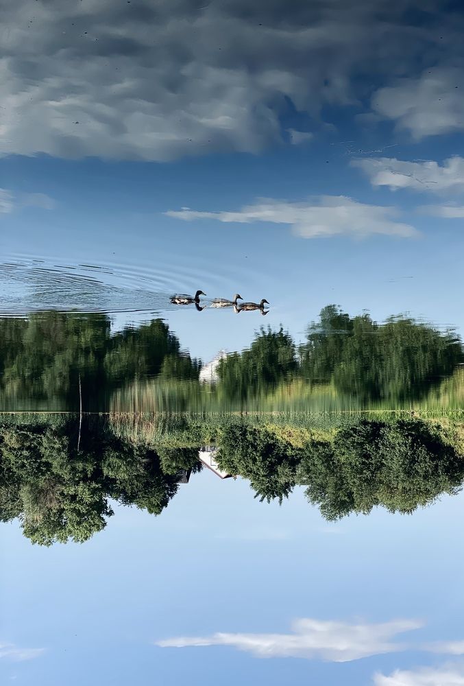 Photograph by Наталья Посашко