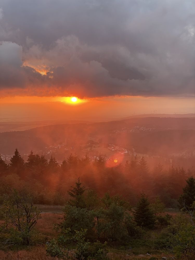 Photograph by Наталья Посашко