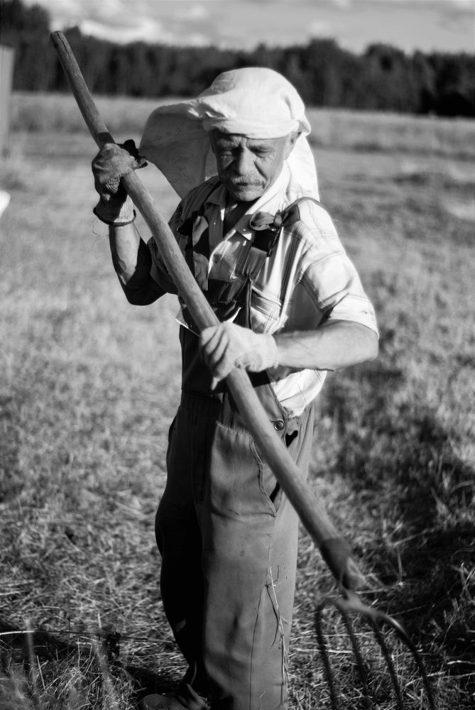 Photograph by Елена Подшевалова