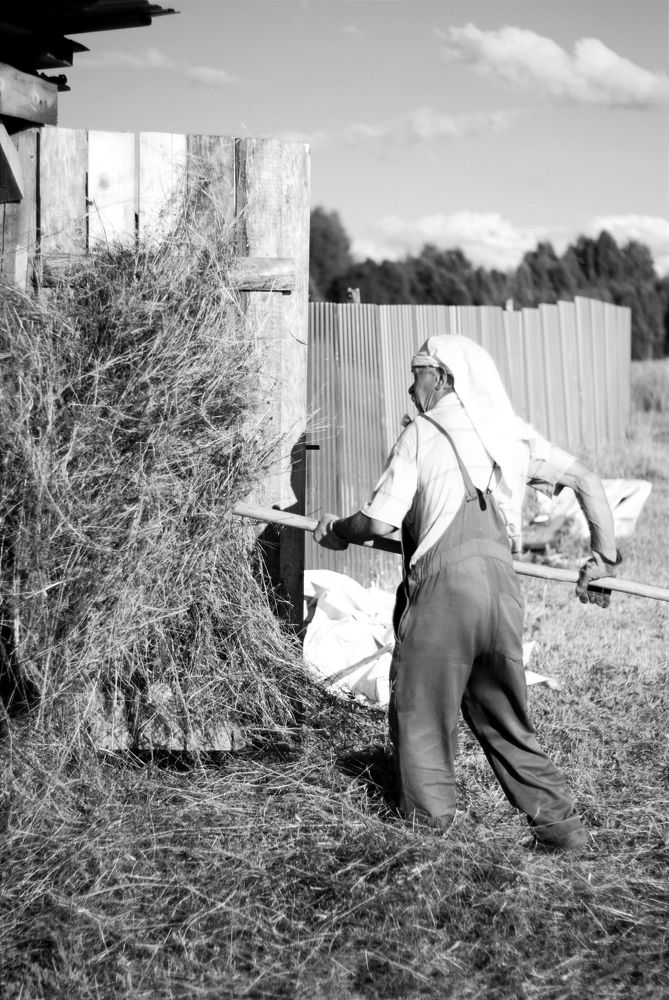 Photograph by Елена Подшевалова