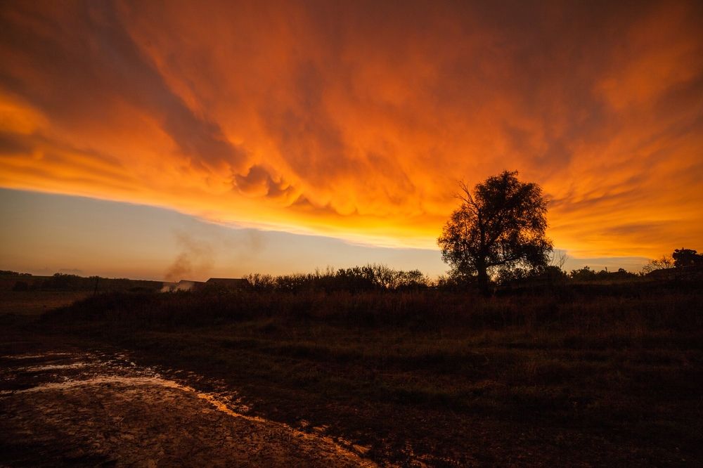 Photograph by Алексей Пирязев