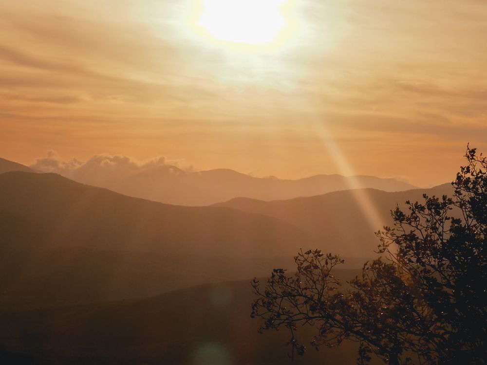 Photograph by Alexandra German