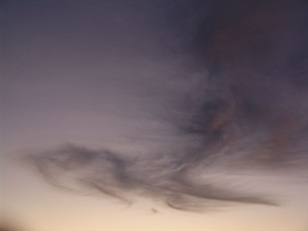 Photograph by Fatemeh Davari