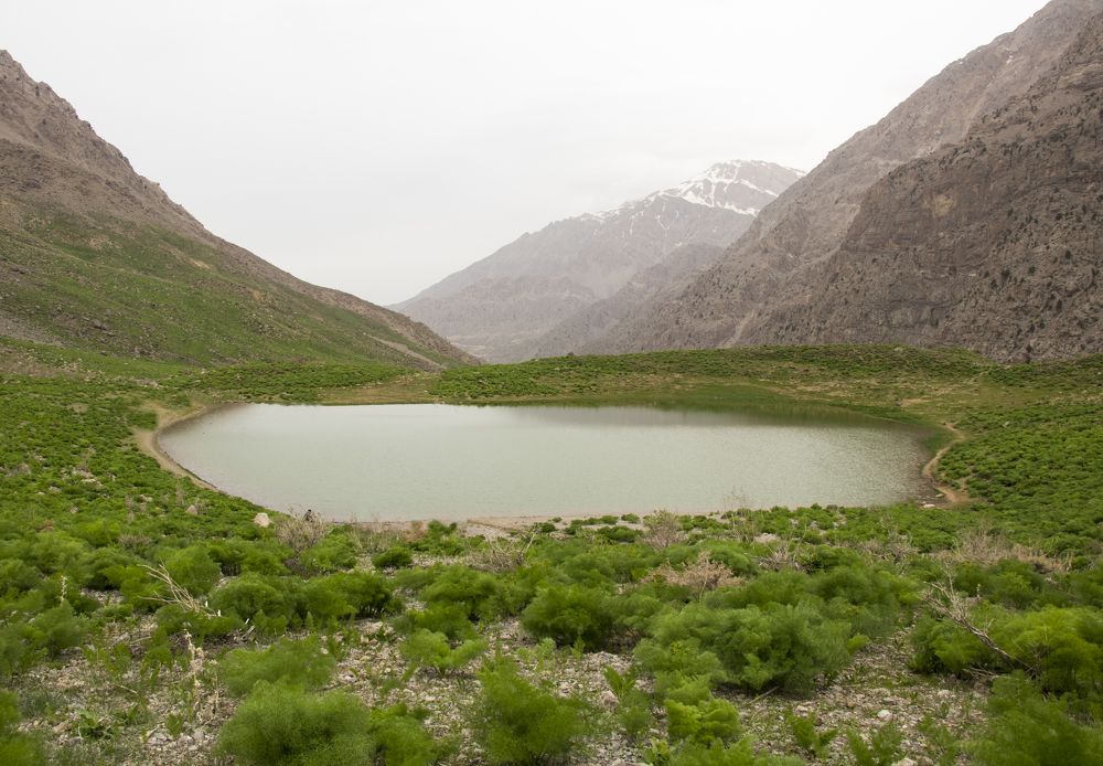 Photograph by Fatemeh Davari