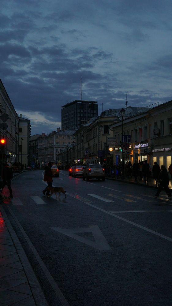 Photograph by Степан Тихон