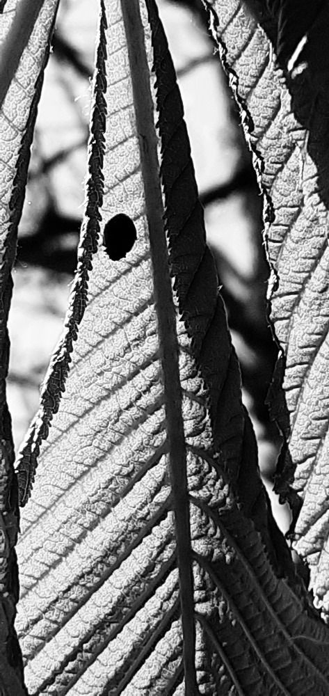 Photograph by Евгения Ульянова