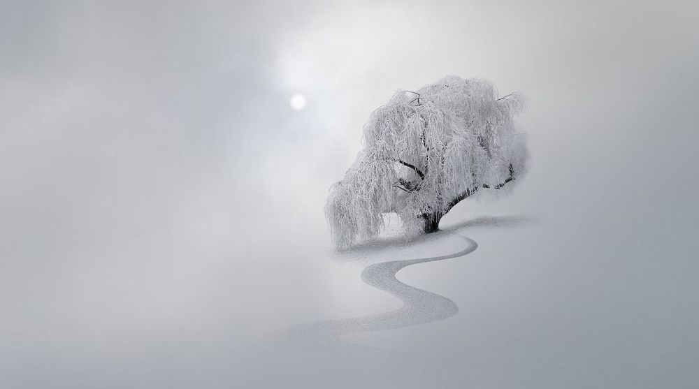 В зимнем наряде